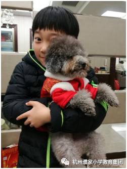 中国足球小将的胜利有多不容易,足球小将们风雨无阻