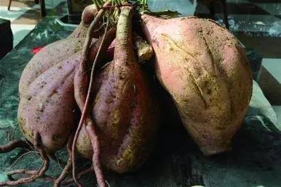 最新出炉的老青岛人自查标准！快看看你是不是地道青岛人！