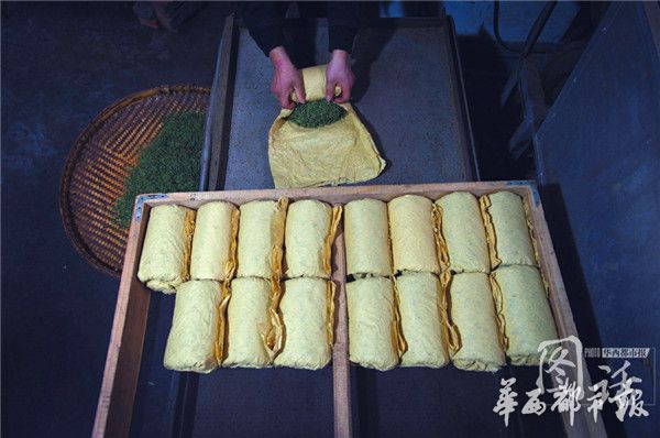 4万颗芽头制一斤春茶他坚守了30年