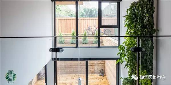 禅意风植物墙,特色植物墙