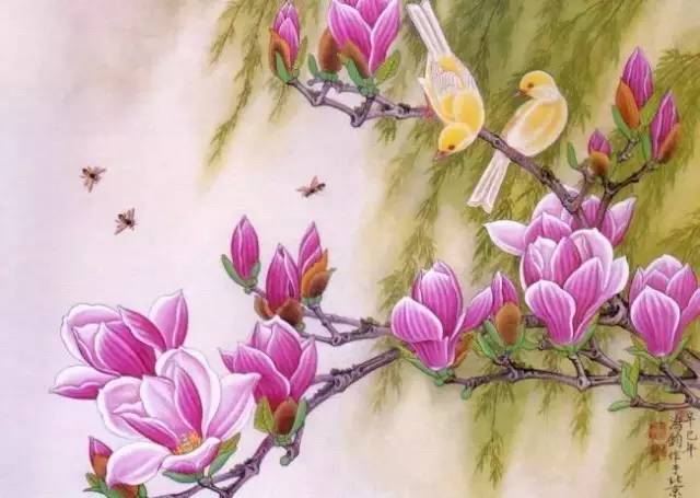 玉兰花儿童绘画,玉兰花绘画作品命名