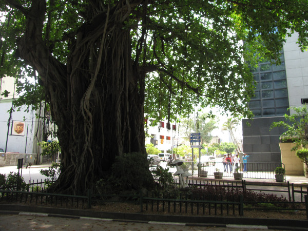 斯里兰卡“人文旅游”攻略综述