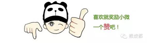 成都地铁10号线进机场t2航站楼,成都机场地铁三号线运营时间