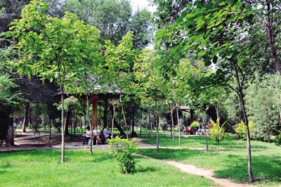 「献礼70」最爱那抹绿：美丽青城展画卷绿水青山带笑颜