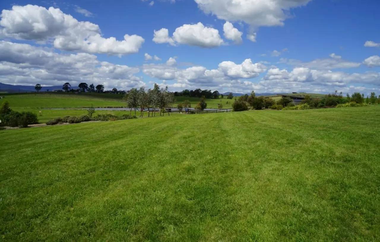 图说：在澳洲的日常（2）｜陈秋平