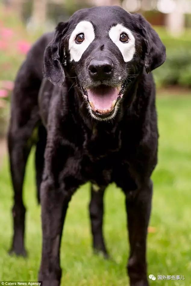 患白癜风男孩,小男孩白癜风
