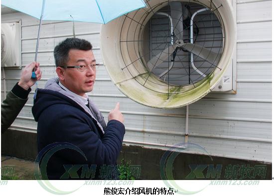 现代化育肥猪舍怎么建,低成本猪舍的建造