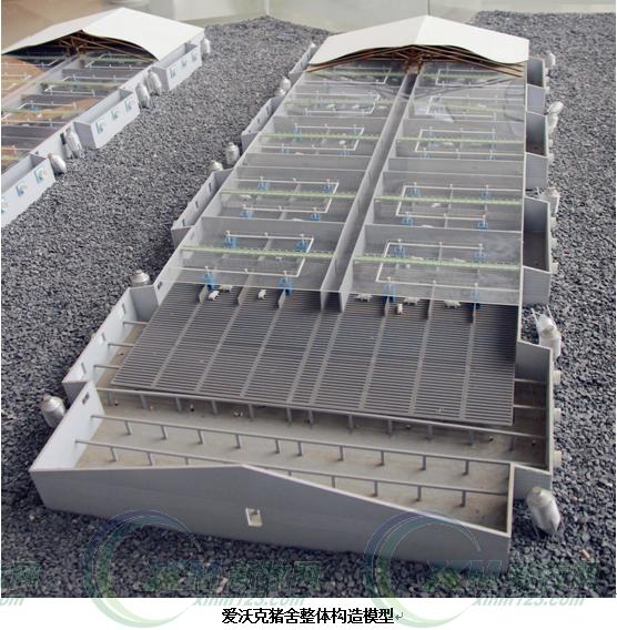 现代化育肥猪舍怎么建,低成本猪舍的建造