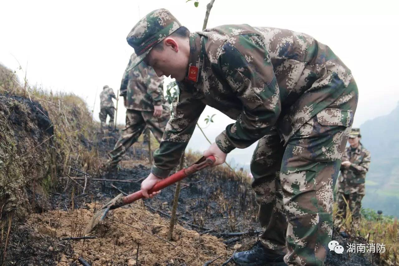 「新闻多看点」｜芳菲三月植树忙消防官兵助力森林城市创建；湘潭县消防大队打响“3.15”消防产品整治前哨战……