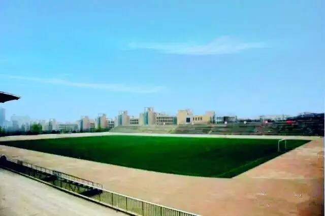 国足比赛胜利球迷庆祝,国足赢球球迷庆祝