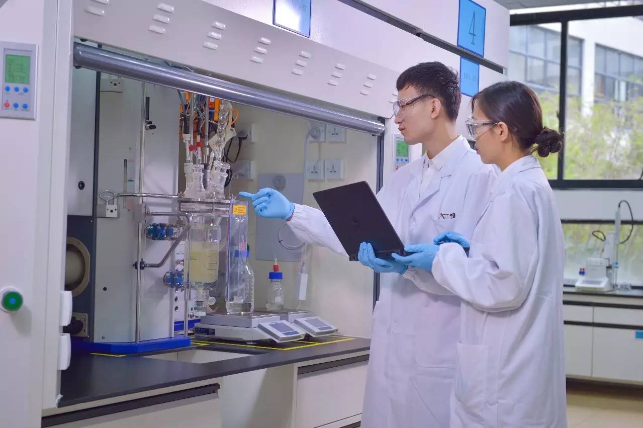 全国质量奖获得企业2019,区长质量奖评审概况