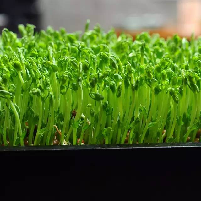 你舍不得花的钱总有人舍得帮你花,以前舍不得花你的钱现在才明白