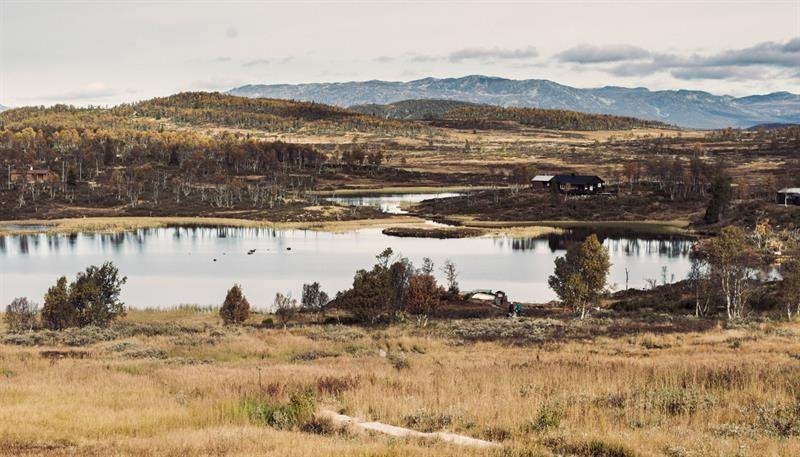 挪威夏日岛旅游攻略,去挪威看峡湾