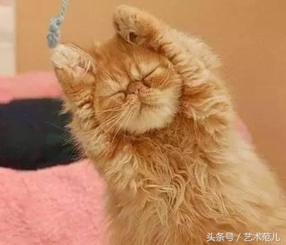 国足赢了教练反应,国足赢了教练的反应