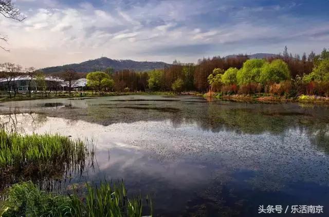 南京免费公园免费开放日一览表,南京最大的公园排名