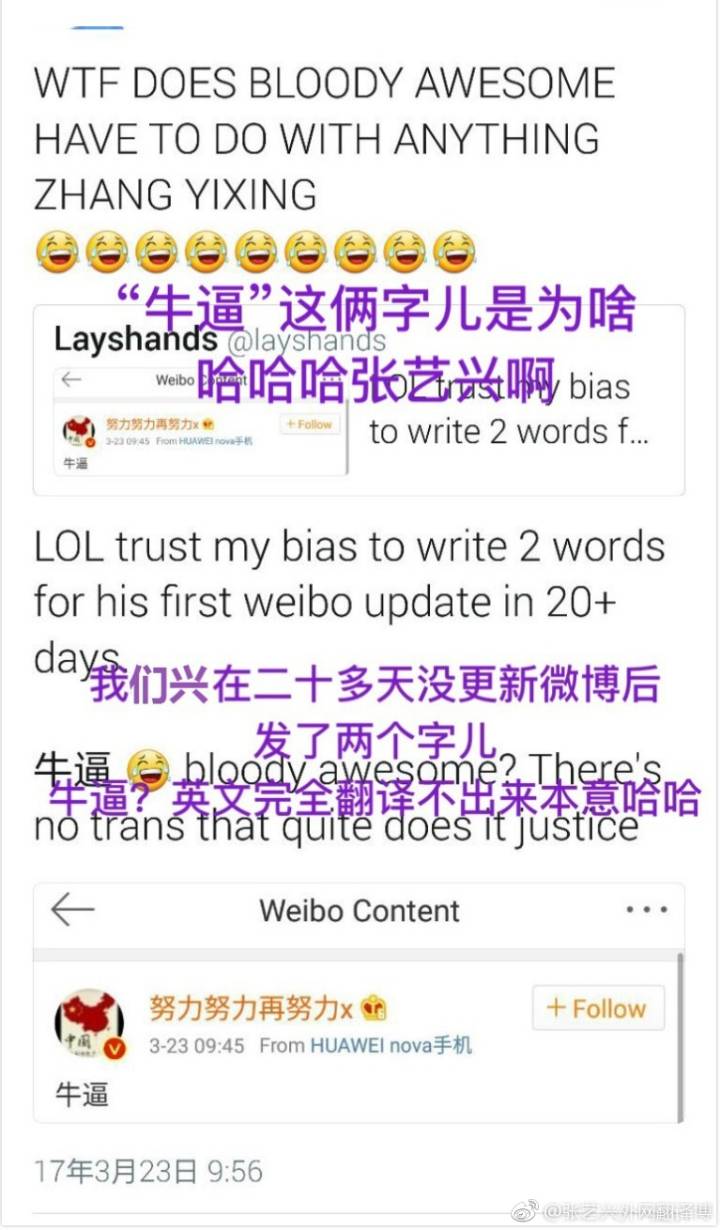 国足取胜,张艺兴“牛逼”引热议,杜海涛却因下跪权志龙被骂惨