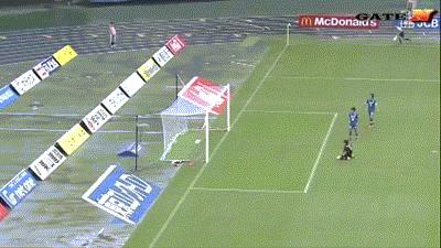 国足迎战韩国最新动态,国足胜越南搞笑图