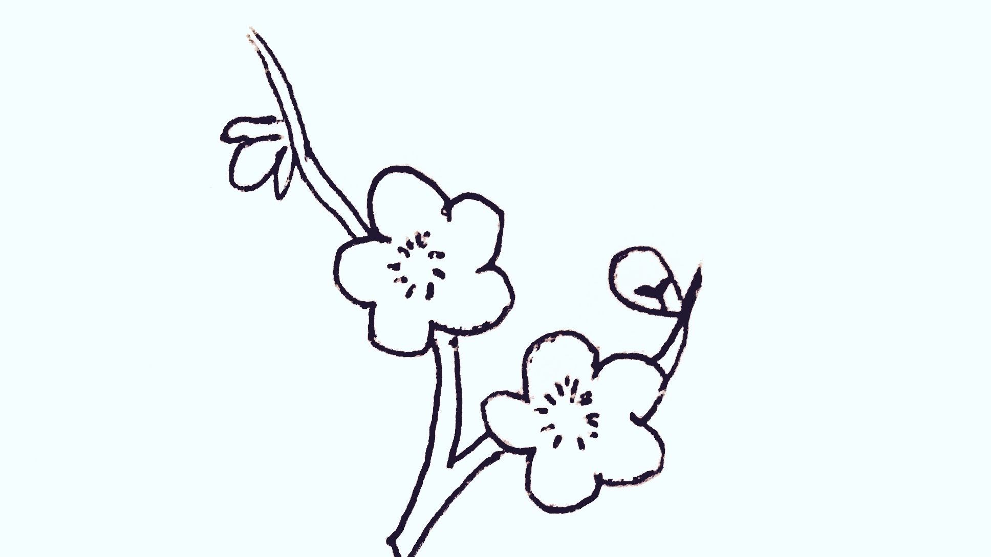 梅花13简笔画简单又漂亮迷你版,梅花画法简笔画