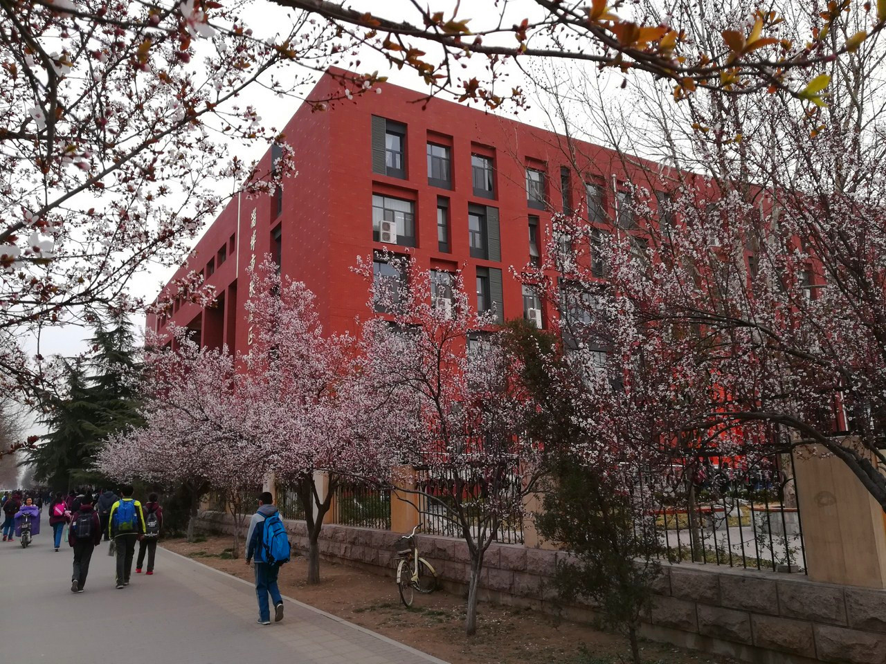 华为青春版荣耀8测评,我的地盘我做主718