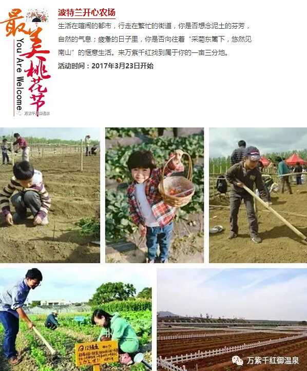 星级酒店家宴菜品,星级酒店餐桌菜品