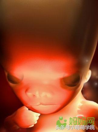 胎儿发育40周全过程b超影像,胎儿1-40周发育过程图高清