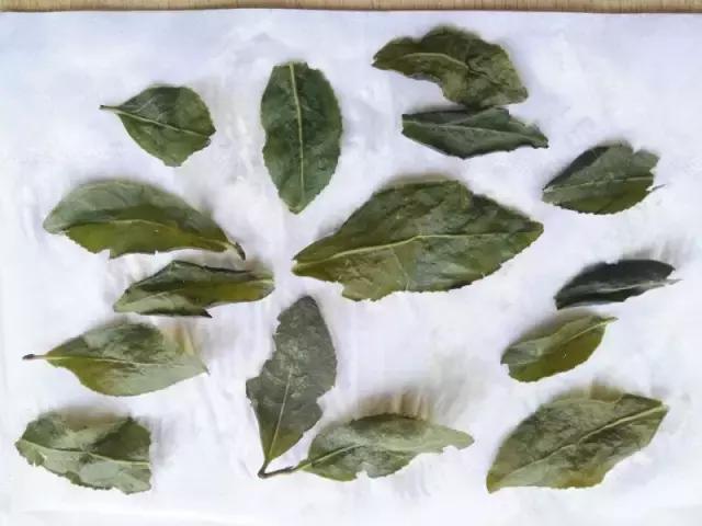 网上十几块钱的铁观音能买吗,多少钱一斤的铁观音可以买