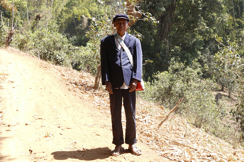 老茶章走进深山老寨—老曼娥