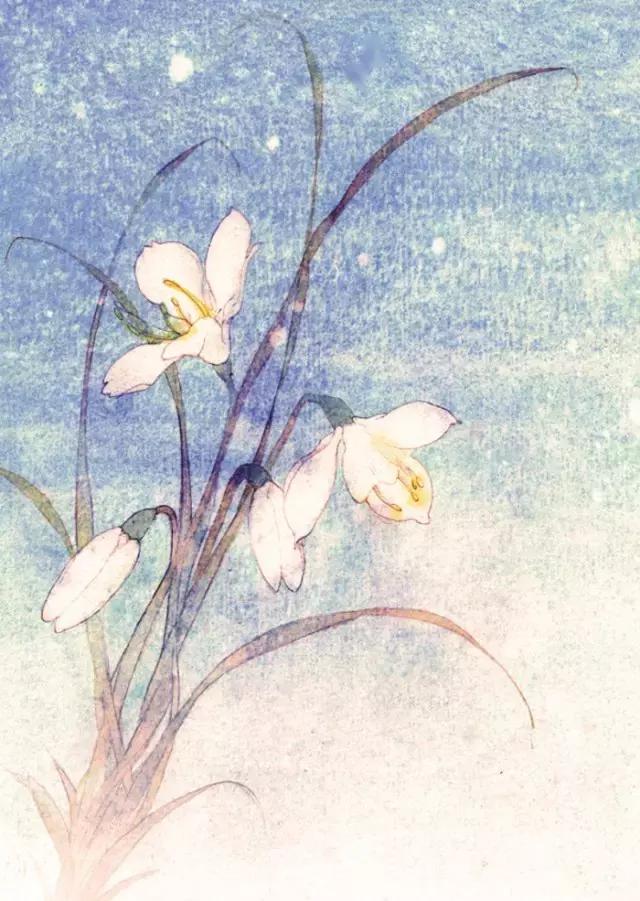 董小姐专栏最新消息,董小姐专栏最新