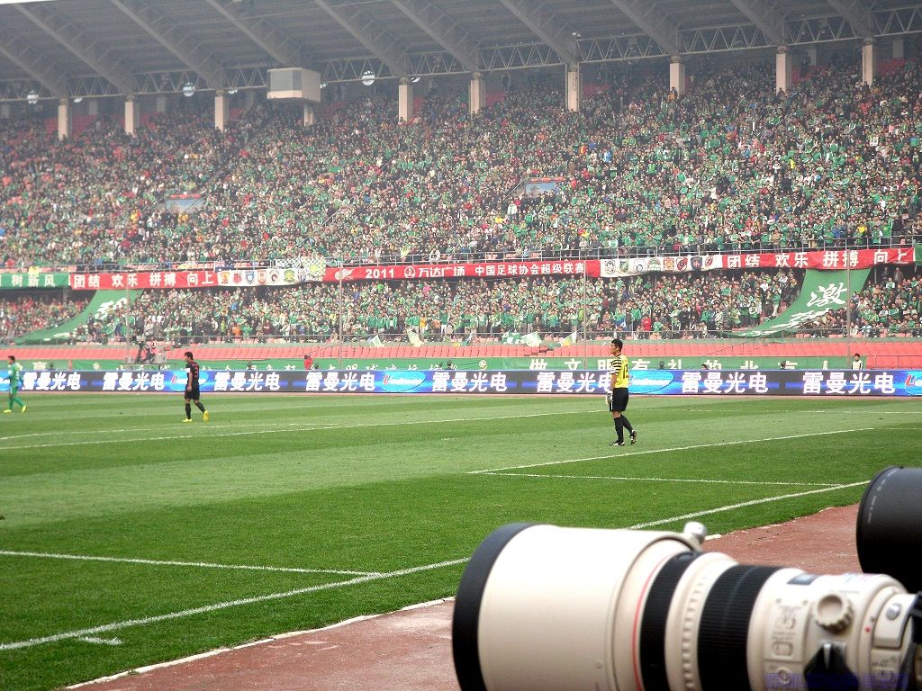 涓婃捣鍙岄泟姝ｇ墖,涓婃捣鍙岄泟闃靛瀵规瘮