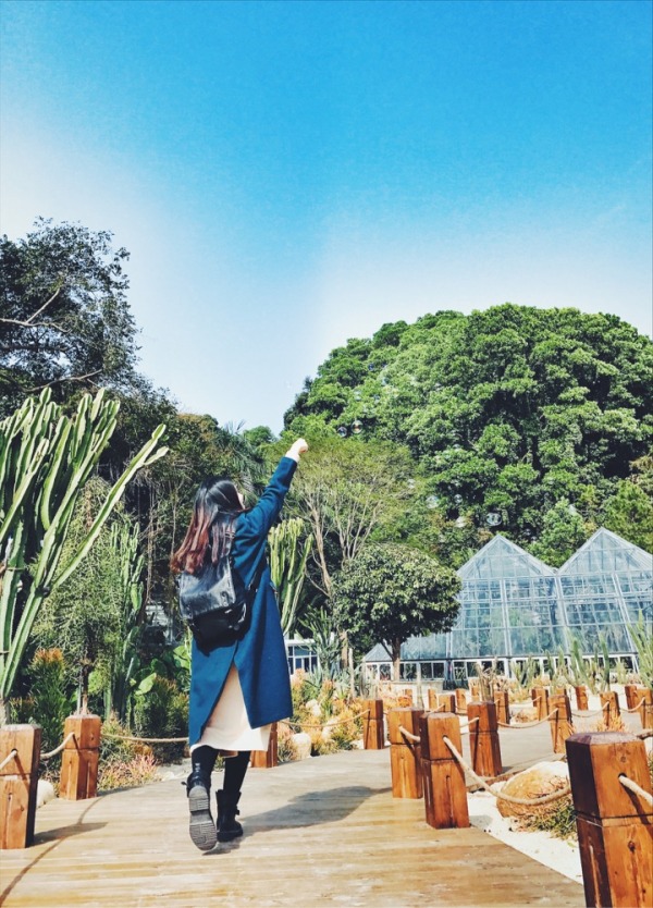 深圳有什么好玩的地方呢,深圳有什么好玩的地方适合小孩