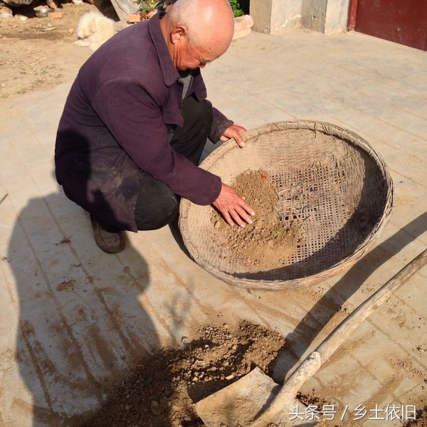 荒地种植蔬菜步骤和方法,土地怎么种蔬菜的教程