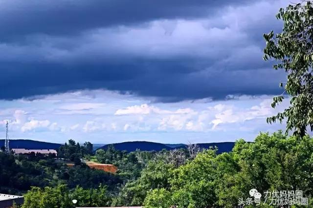 麻麻，为什么不能带我去非洲！