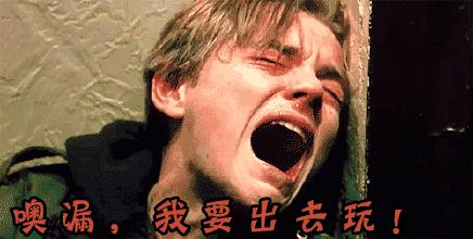 荷兰猪外出郊游,操心的事太多,其实只要做到这几点就可以了