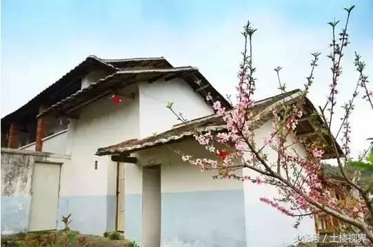 龙岩赏花景点,龙岩的花海