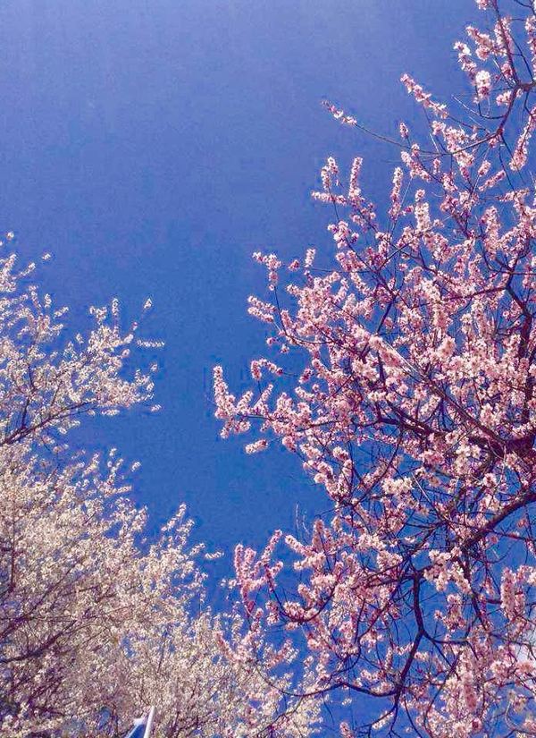 川藏线拼车全攻略,318川藏线拼车费用