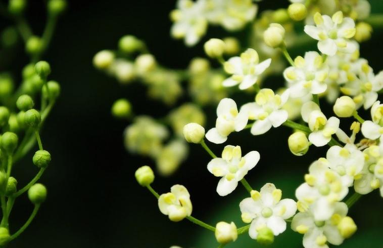 你不知道的恋爱小说,你不知道的爱情故事mv