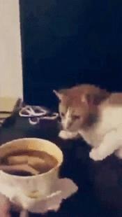 导演拍摄的吐血瞬间,导演拍吐血