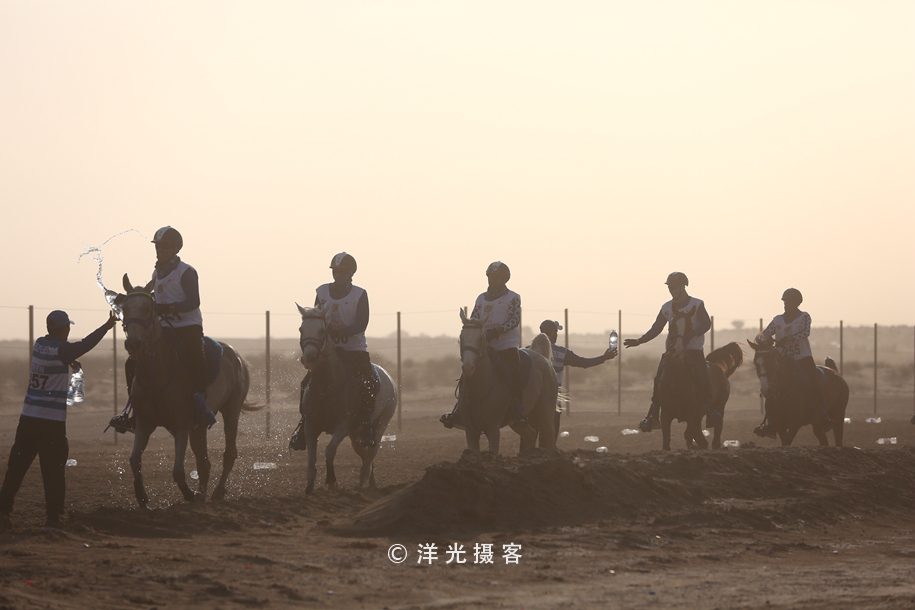 为什么迪拜土豪最有钱,真正的迪拜土豪