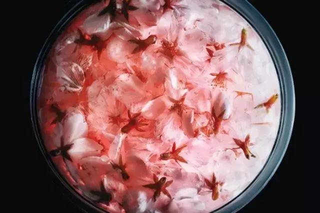 樱花美食有哪些,樱花美食让你眼前一亮