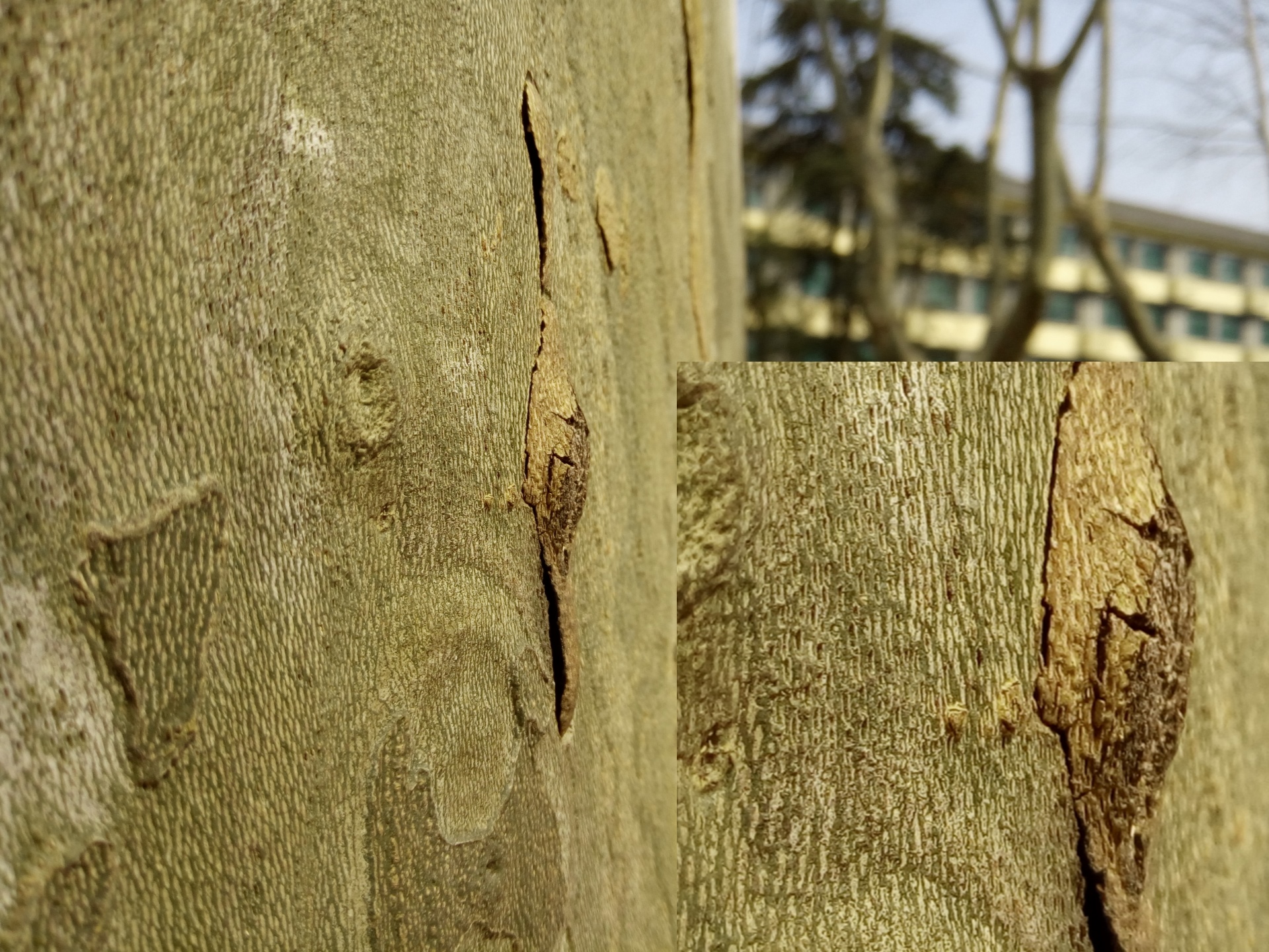 魅蓝5s详细参数,魅蓝5s全部参数