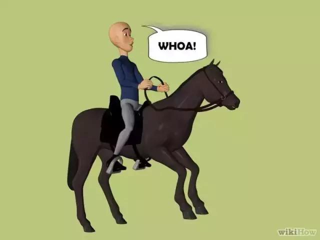 如何学习骑马奔跑,怎么样才能学会骑马