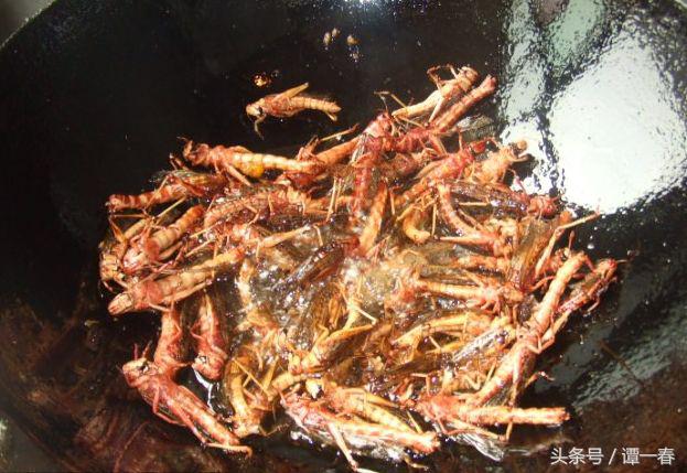 农村野生山珍美味,小时候吃过的农村野果