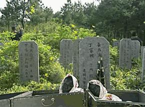 竞彩足彩每日推荐分析 (足彩竞彩十年磨一剑)