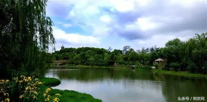 浜北鐨勯剛涓豢瀹濈煶,浜北鍥犱粈涔堣绉伴剛涓豢瀹濈煶