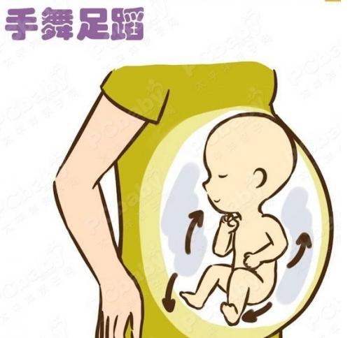 宝宝胎动的视频,胎儿35周胎动动作大