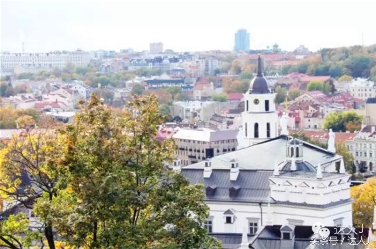 猜猜哪个国家连刺猬都有路牌？