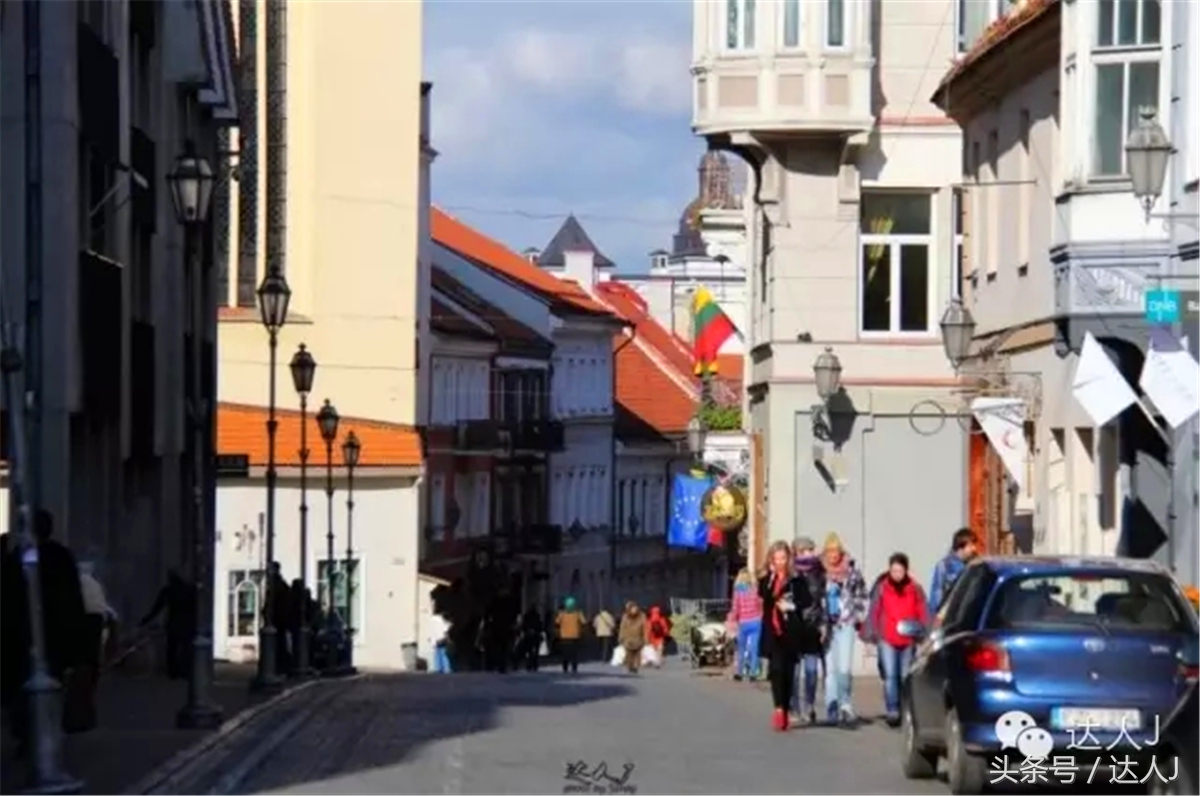 猜猜哪个国家连刺猬都有路牌？