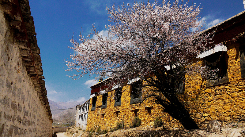 清明三天假如何度过,去拉萨旅游清明注意事项和禁忌