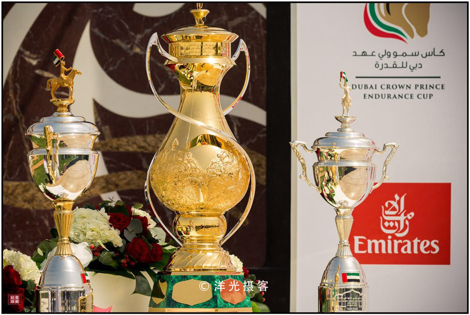 为什么迪拜土豪最有钱,真正的迪拜土豪