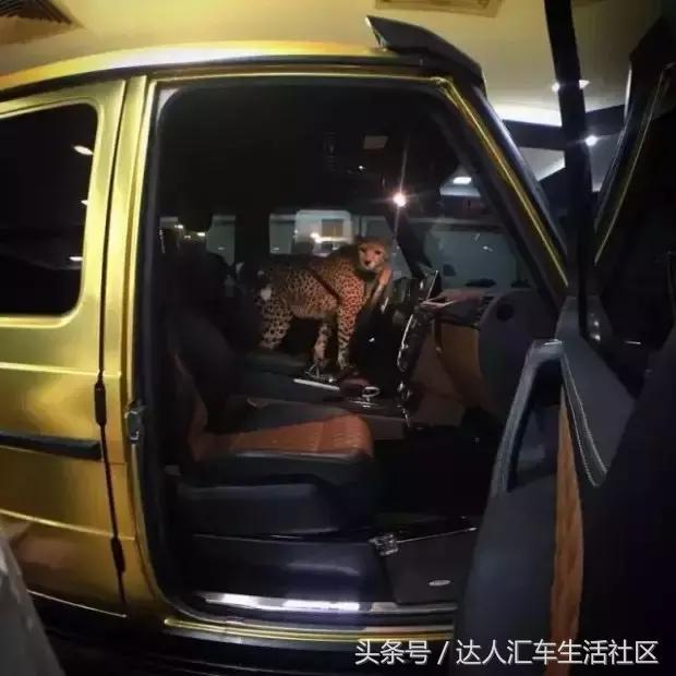 达车趣：自己能带的就尽量不麻烦别人，实在不行租400辆奔驰吧